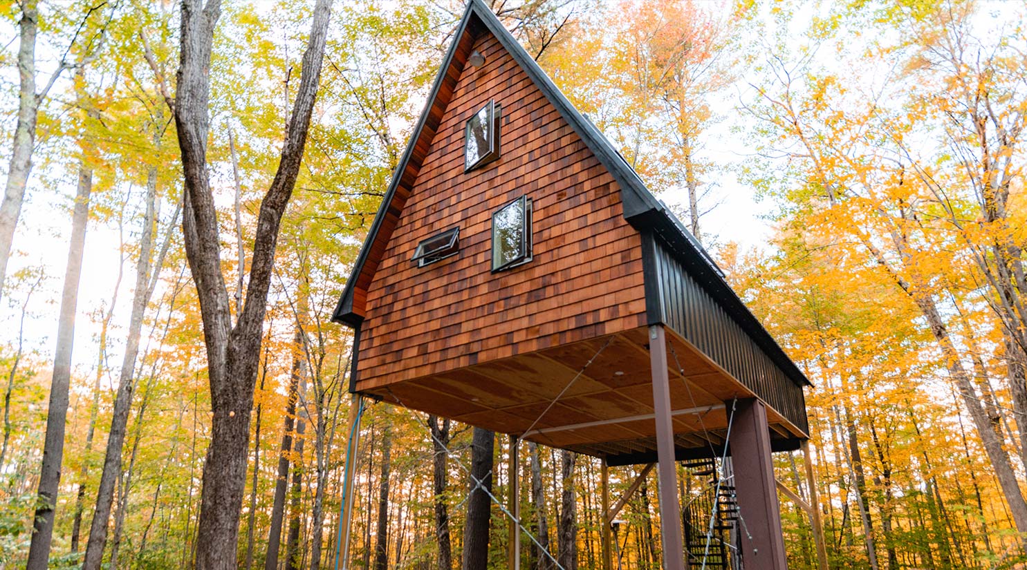 Forest Loft